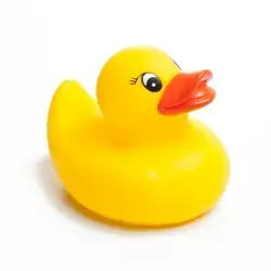 rubber duck