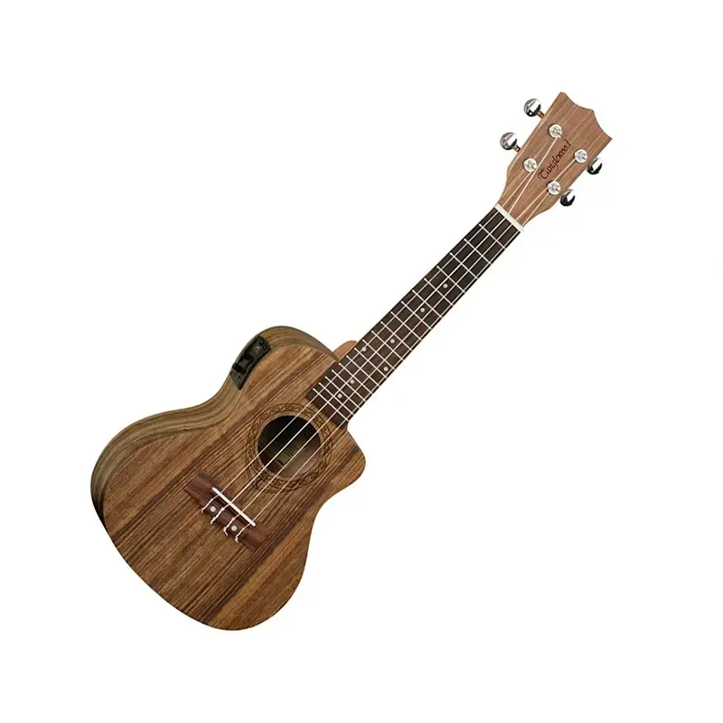 Enya Pineapple Soprano Ukulele, which is a beginners kit. It is a 21-inch ukulele made from HPL Koa material and comes with various accessories.