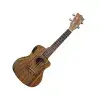 Enya Pineapple Soprano Ukulele, which is a beginners kit. It is a 21-inch ukulele made from HPL Koa material and comes with various accessories.