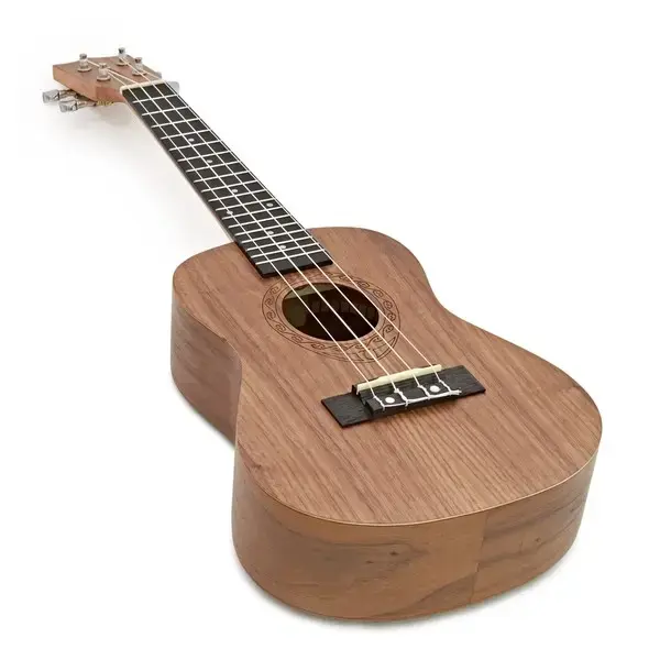 Enya Pineapple Soprano Ukulele, which is a beginners kit. It is a 21-inch ukulele made from HPL Koa material and comes with various accessories.