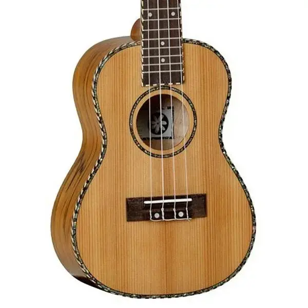 Enya Pineapple Soprano Ukulele, which is a beginners kit. It is a 21-inch ukulele made from HPL Koa material and comes with various accessories.