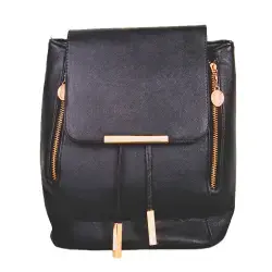 black backpack with gold hardware.