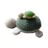 Funny Positive Capybara Turtle Doll, Emotional Support Crochet Animals Capybara Turtle Toy, with Positive Affirmations Cards for Inspirational Novelty Gifts